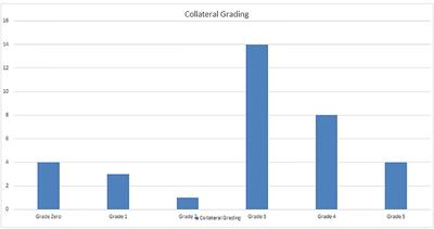 Assessment of Intracranial Collateral Circulation Using Novel TCCS Grading System in Patients With Symptomatic Carotid Occlusion